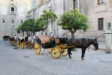 Fototapeta premium Forse-drawn carriage