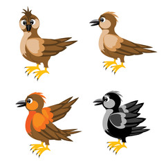 Much birds sparrow