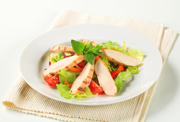 Grilled chicken breast and salad