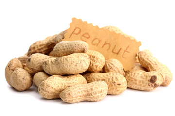 tasty peanuts, isolated on white