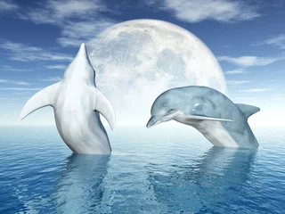 Fotobehang Dolfijnen springen © Michael Rosskothen