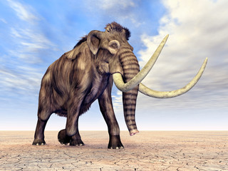 Mammut © Michael Rosskothen