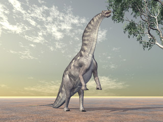 Dinosaur Amargasaurus