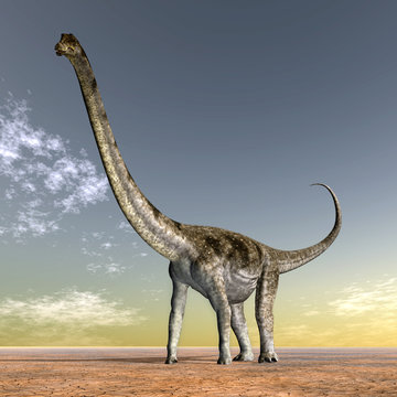 Dinosaur Puertasaurus