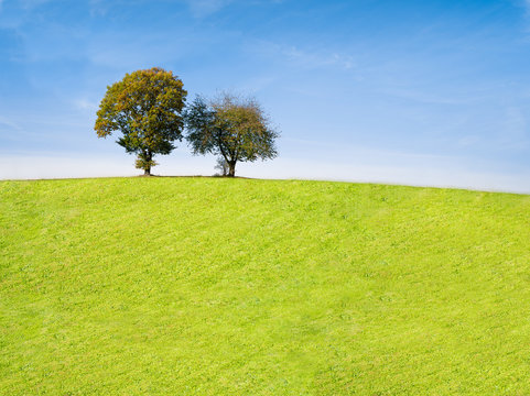 Sch&ouml;ne Landschaft