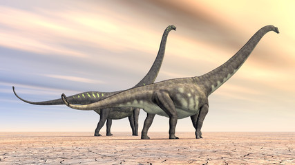 Fototapeta premium Dinozaur Mamenchisaurus