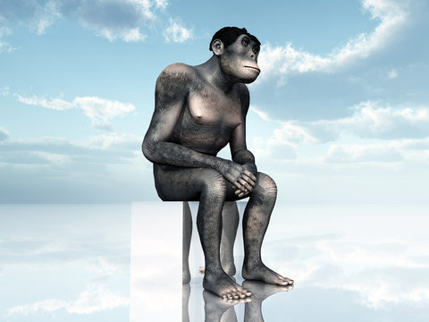 Homo Habilis - The Evolution of Man