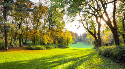 Fototapeta na wymiar Jasny zielony trawnik w parku.