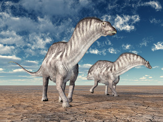 Plakat Dinosaurier Amargasaurus