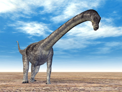 Puertasaurus