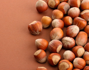 tasty  hazelnuts, on brown background