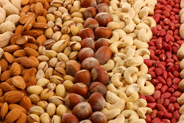 assortment of tasty nuts, close up