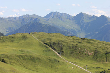 Fototapeta na wymiar Alpenlandschaft, Sommer - Kitzbühler Alpen