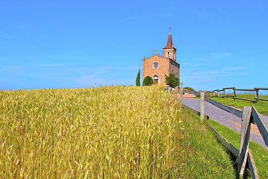 EGLISE  1 ET BLES