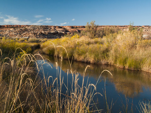 Petite rivi&egrave;re dans le parc national des Arches