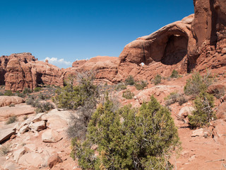 Window arch - parc national des arches