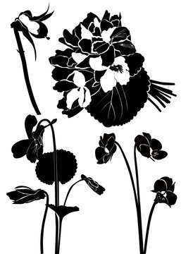 Violet clip art preview