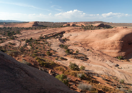 Paysage autour de Delicate Arch