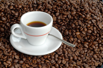 Fototapeta premium Kaffee, Kaffeebohnen, Bohnen, geröstet, Tasse, Bohnen