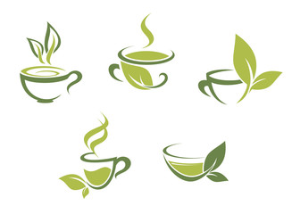 Fresh tea and green leaves