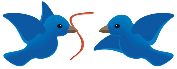 Early bird gets worm