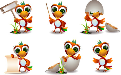 cute parrots cartoon set