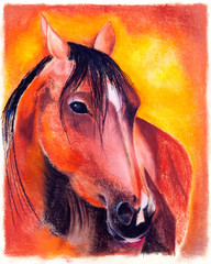 Plakat Pastel - koń