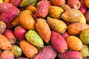 indian figs