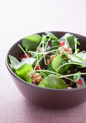 Salad with lettuce, pomegranate, walnuts and cheese