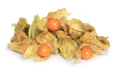 Physalis