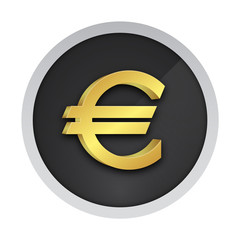 Euro Icon