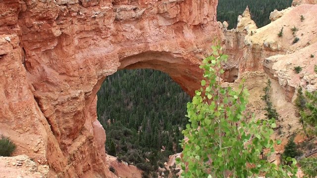Natural arch at Bryce Canyon. Utah, USA.
