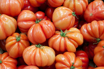 tomates coeur de boeuf