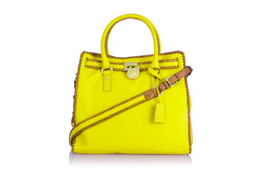 Elegant woman bag isolated on white