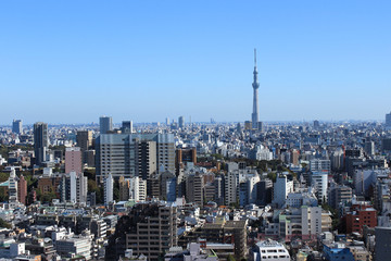 Fototapeta na wymiar Tokyo Sky Tree i Tokyo City View