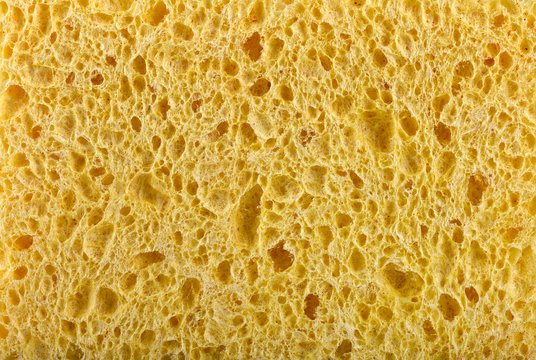 Yellow sponge texture