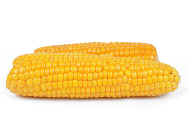 corn isolated on white background