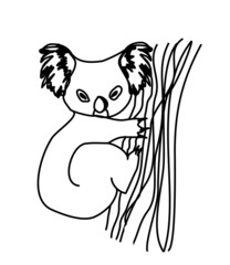 koala cartoon drawing.