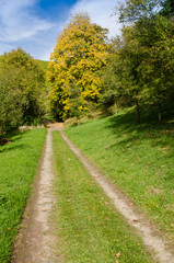 Feldweg mit Bäumen im Herbst