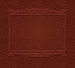 Frame on skin background