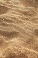 Windlown sand background