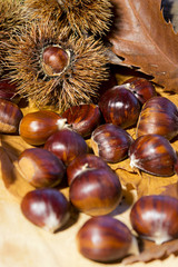 castagne e ricci su sfondo legno