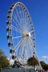 carousel