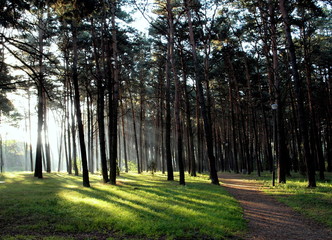 OLYMPUS DIGITAL CAMERA © weselebydgoszcz