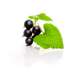 Black currants