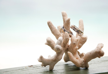 Two wedding rings on coral in front of the seaside