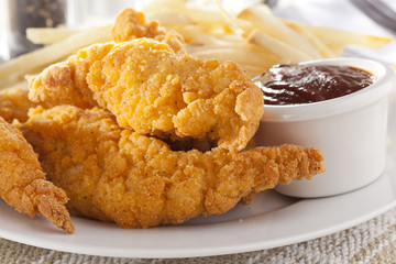 Organic Crispy Chicken Strips