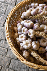 Ail, condiment, marché, bulbe, étalage, aliment, gousse