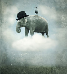 Fototapety  Fantazyjny słoń latający
