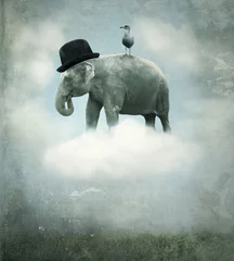 Fotobehang Fantasie olifant vliegen © vali_111
